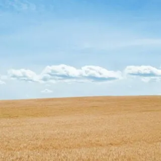 how much is an acre