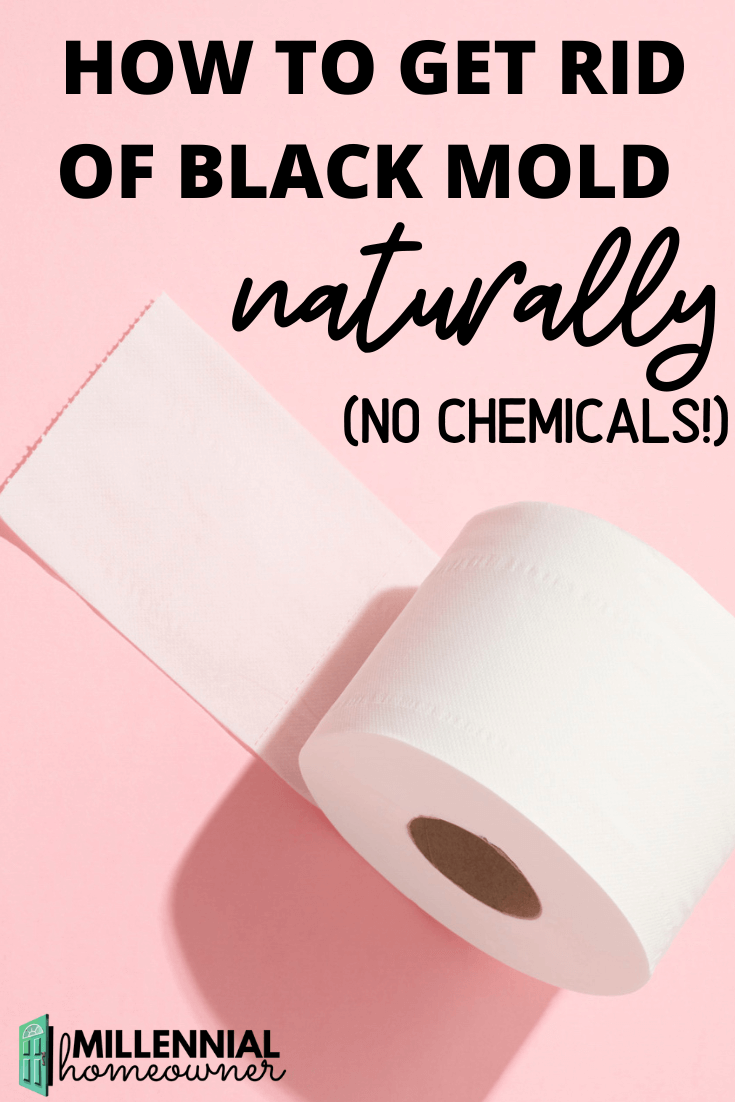 Black Mold In Your Toilet? Here's what to do... (updated January 2024)