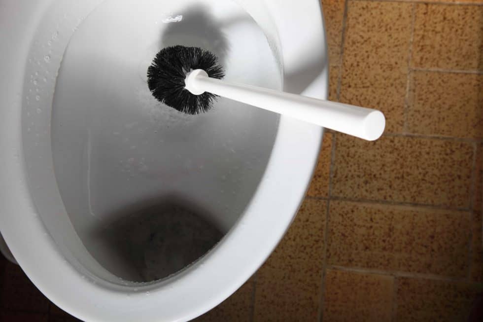 Black Mold In Your Toilet? Here's what to do... (updated September 2024)