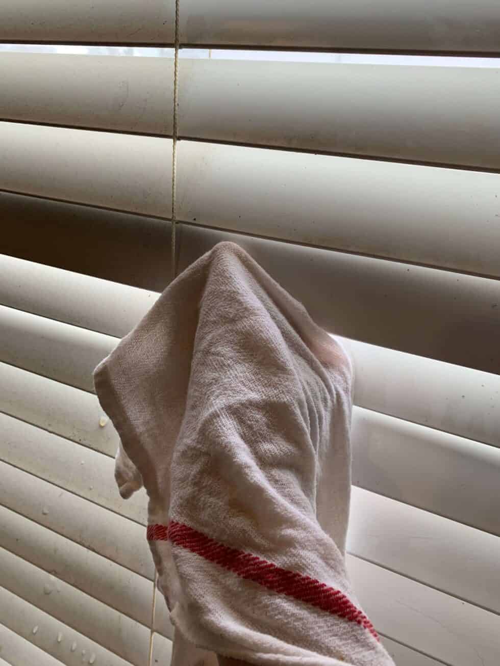 How to Clean Faux Wood Blinds (March 2024)