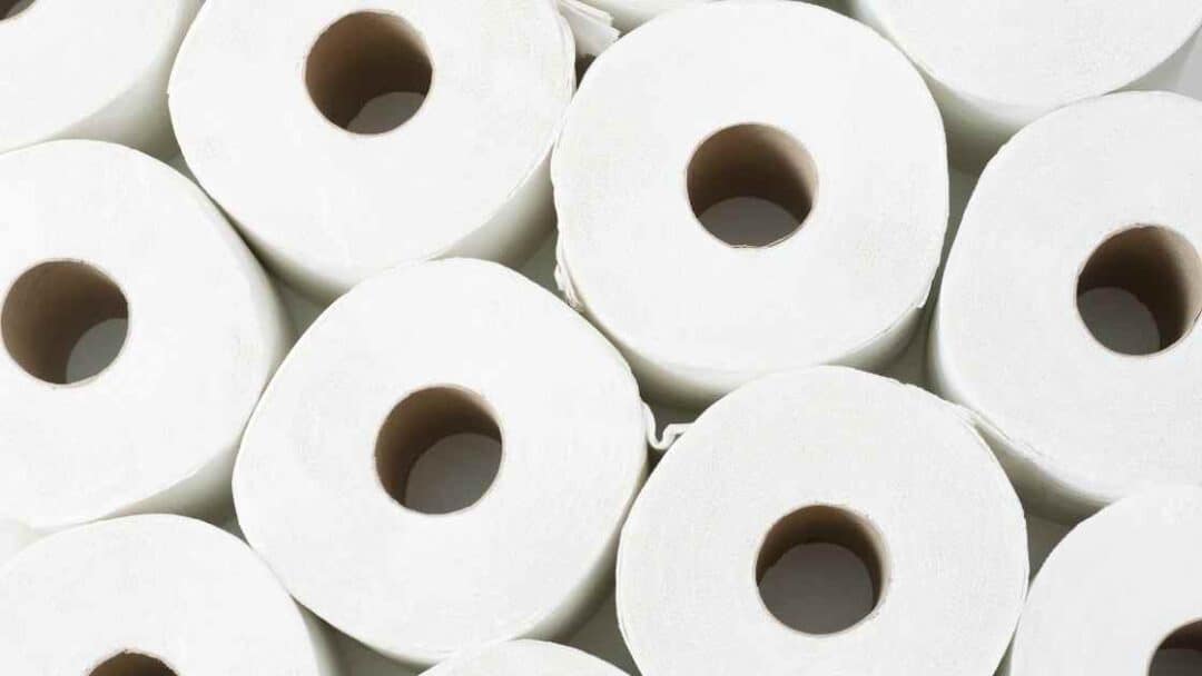 10 Best Septic Safe Toilet Paper For Your Septic Tank Revealed 2024