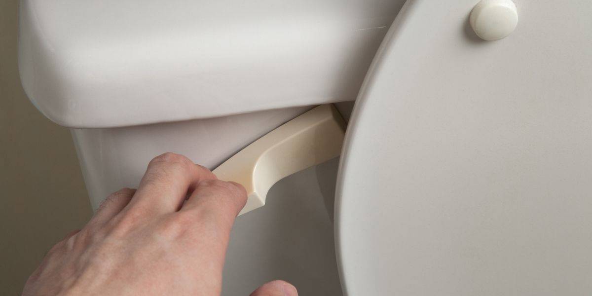 How‌ ‌to‌ ‌Flush‌ ‌a‌ ‌Toilet‌ ‌Without‌ ‌Running‌ ‌Water‌ 2 Easy Ways