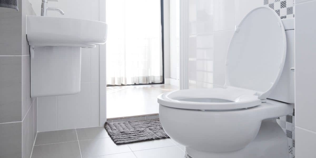 Round Toilet vs. Elongated Toilet Everything You Need to Know (May 2024)