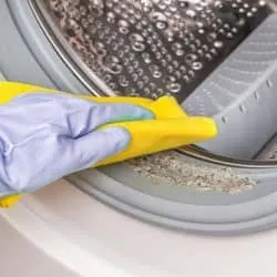 Wipe down the washing machine gasket
