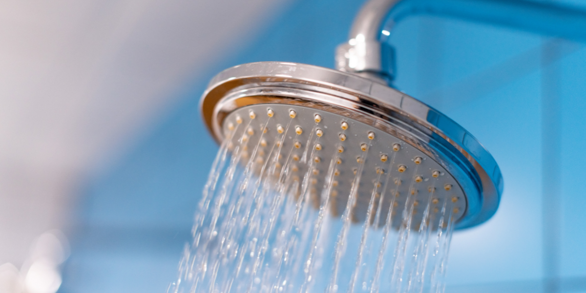 Why Does My Shower Squeal? (March 2024)