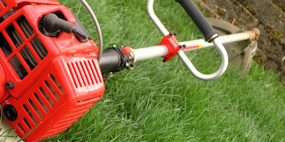 Trimmer vs. Edger Do You Need Both Tools? (January 2024)